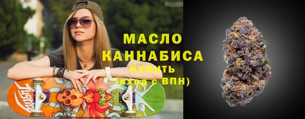 эйфоретик Гусь-Хрустальный