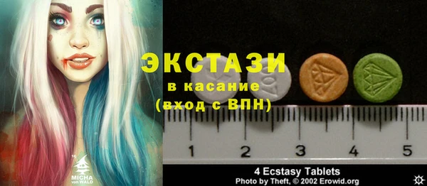 эйфоретик Гусь-Хрустальный