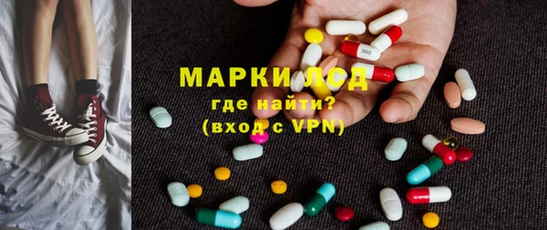 эйфоретик Гусь-Хрустальный