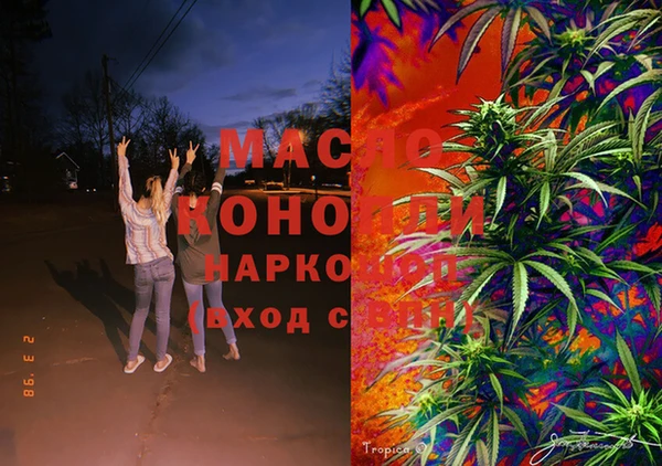 эйфоретик Гусь-Хрустальный