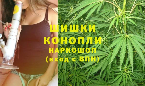 эйфоретик Гусь-Хрустальный