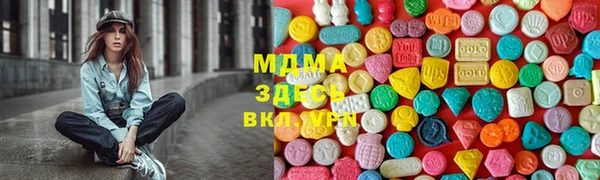 эйфоретик Гусь-Хрустальный