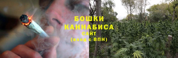 эйфоретик Гусь-Хрустальный