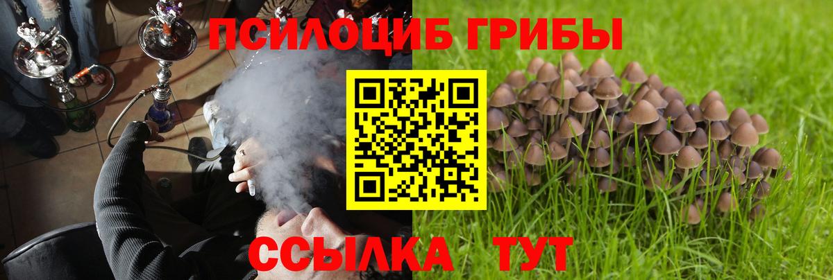 Галлюциногенные грибы GOLDEN TEACHER  Псилоцибиновые грибы мицелий  Вход с VPN  Москва 